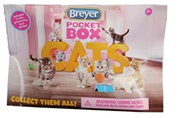 Pocket 2025 box cats