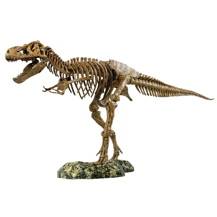 T-Rex Skeleton - Raff and Friends