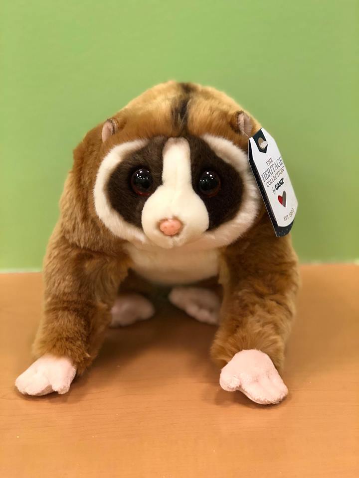 Slow loris hot sale stuffed animal