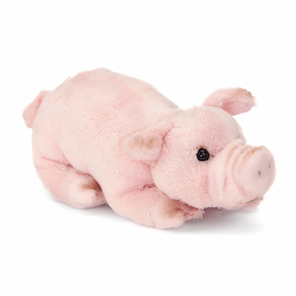 Small stuffed sales pig