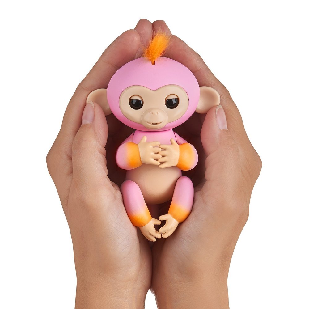 fingerling monkey teddy